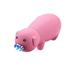 Atypisk lättare ica maxi